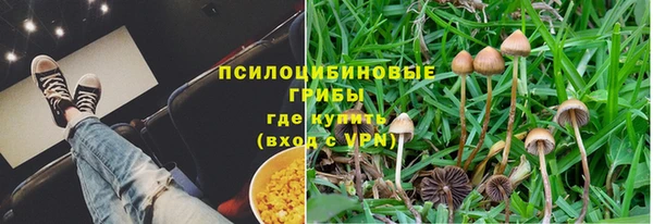эйфоретик Богородск