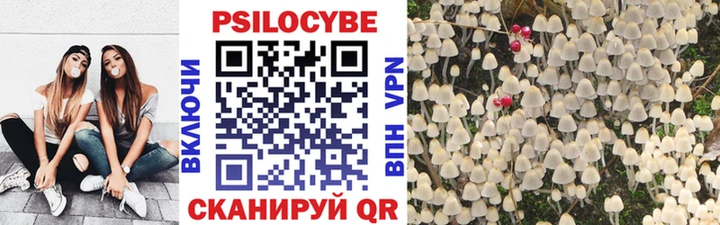 Псилоцибиновые грибы прущие грибы  Приволжский 
